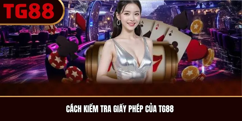 Cách Kiểm Tra Giấy Phép Của TG88