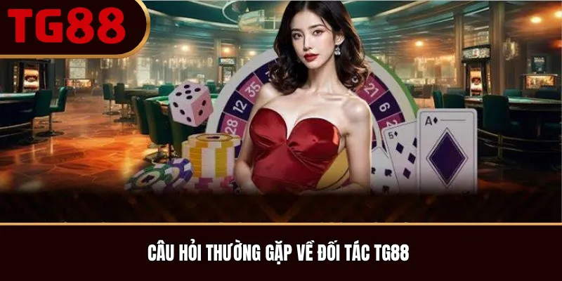 Câu Hỏi Thường Gặp Về Đối Tác TG88