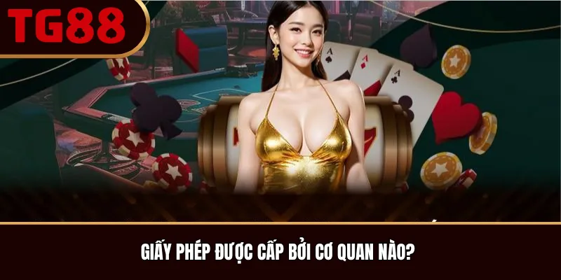 Giấy Phép Được Cấp Bởi Cơ Quan Nào?
