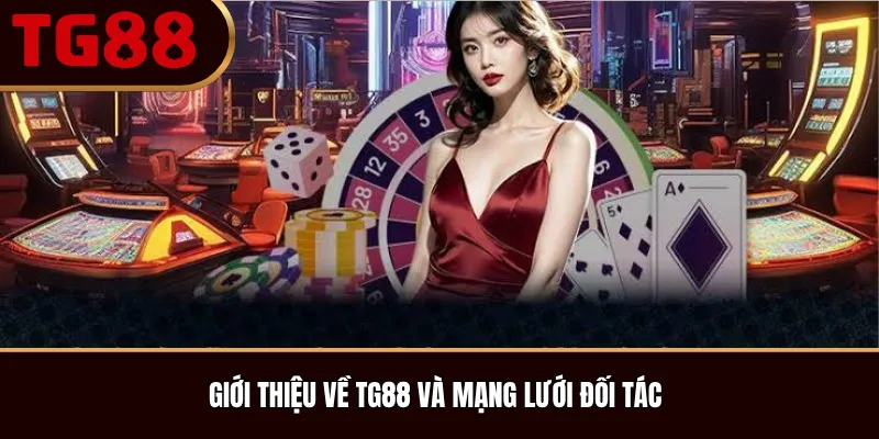 Giới Thiệu Về TG88 Và Mạng Lưới Đối Tác