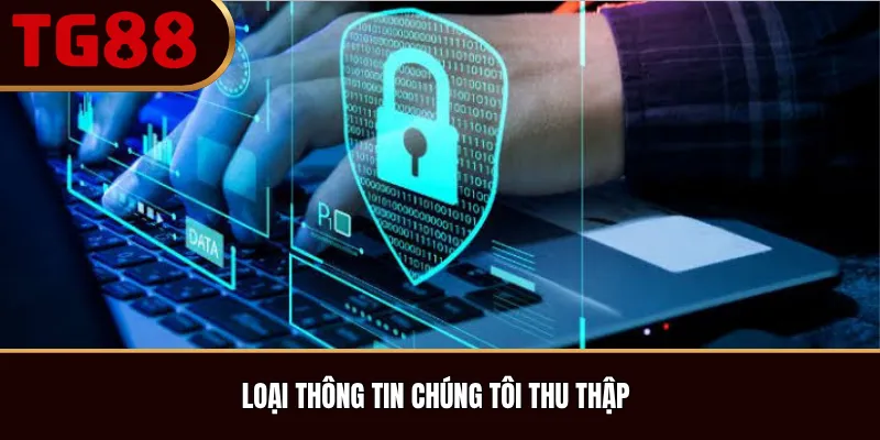 Loại Thông Tin Chúng Tôi Thu Thập