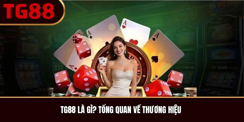 TG88 là gì? Tổng quan về thương hiệu