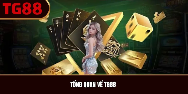 Tổng Quan Về TG88